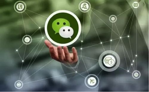 移動互聯時代下的創新變現 山東創爾科技如何以三大模式撬動小程序盈利藍海