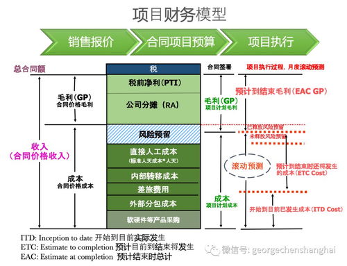 開票無關(guān)型專業(yè)服務(wù)項(xiàng)目公司運(yùn)營(yíng)管理體系 流程、財(cái)務(wù)管理與IT系統(tǒng)及信息系統(tǒng)運(yùn)維服務(wù)